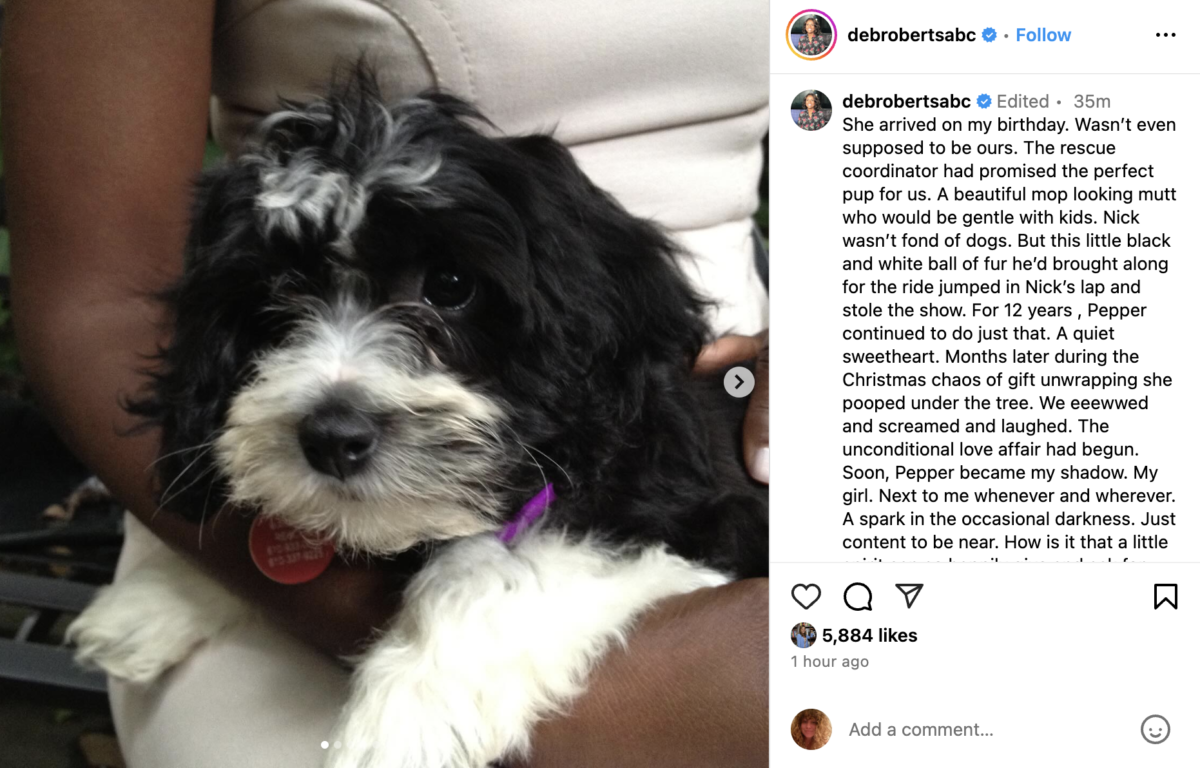Hearts break for Al Roker: 'Yesterday, we had to say goodbye' | On June 11, the famous Today Show meteorologist took to Instagram to announce the death of a beloved family member, his 12-year-old pup Pepper.